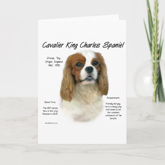 Cavalier als geen ander ras feestdagen kaart (Voorkant)