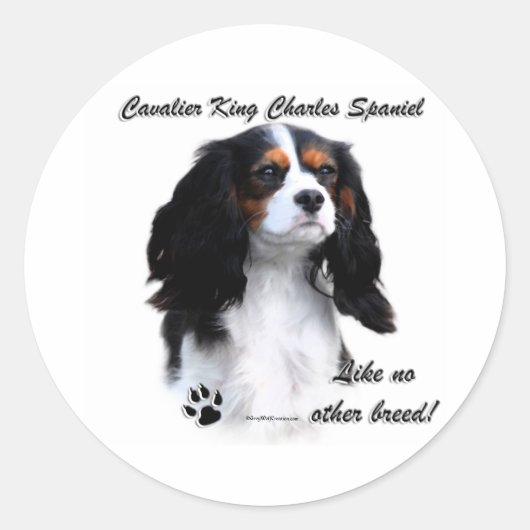 Cavalier als geen ander ras - Sticker (Voorkant)
