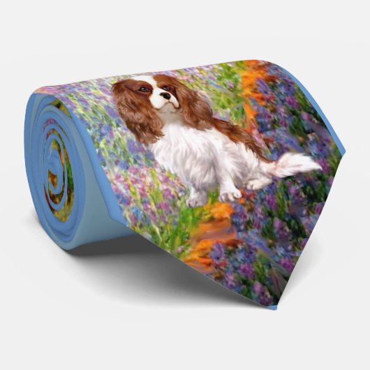 Cavalier (Blenheim) - Tuin Stropdas (Opgerold)