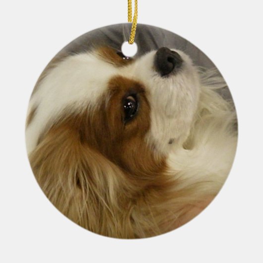 Cavalier Cocker Spaniel Ornament (Voorkant)