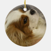 Cavalier Cocker Spaniel Ornament (Achterkant)