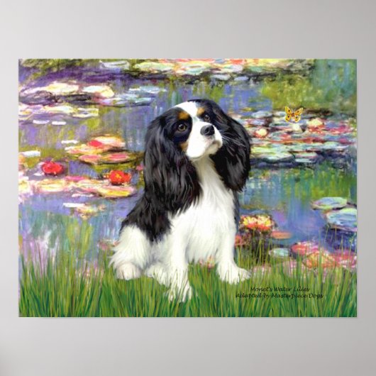 Cavalier (driekleurig 5) - Waterlelies 2 Poster (Voorkant)