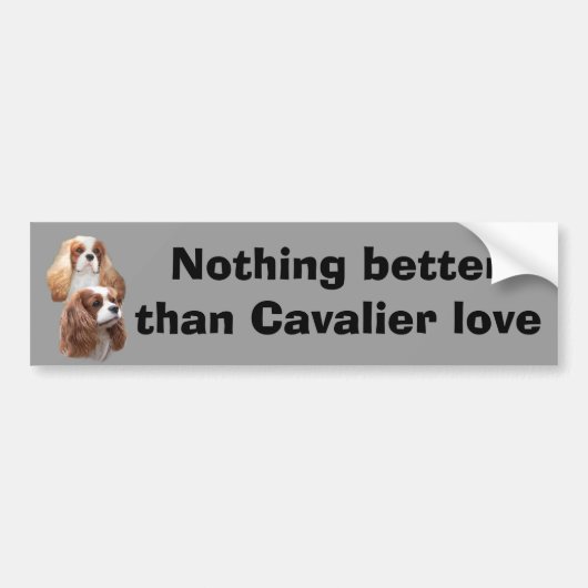 Cavalier  Girls Bumpersticker (Voorkant)