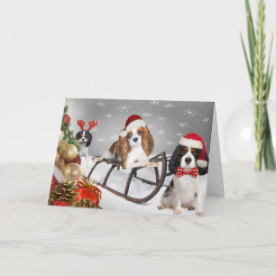 Cavalier heeft een kerstkaart met een Yappy-kerst Feestdagen Kaart