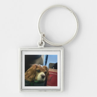 Cavalier-huisdier-sleutelhanger Sleutelhanger