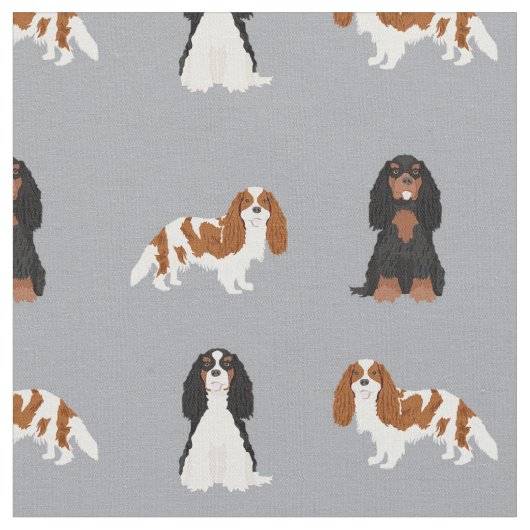 cavalier kc spaniel dogs grijs stof (Close Up)