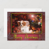 Cavalier kerstkaart feestdagenkaart (Voorkant / Achterkant)