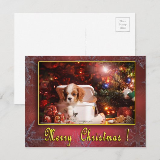 Cavalier kerstkaart feestdagenkaart (Voorkant / Achterkant)