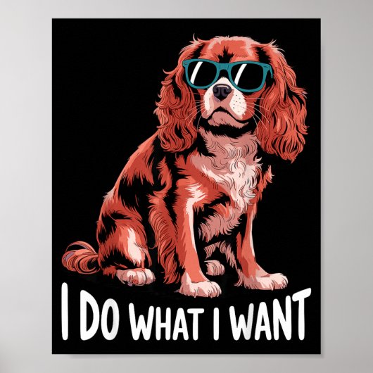 Cavalier King Charles Art For Men Women Cavalier S Poster (Voorkant)