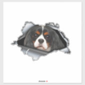 Cavalier King Charles auto sticker, Cavalier King Sticker (Vel)