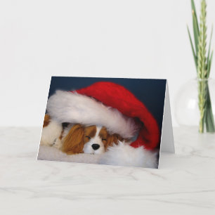 Cavalier King Charles Blenheim Santa Card Feestdagen Kaart