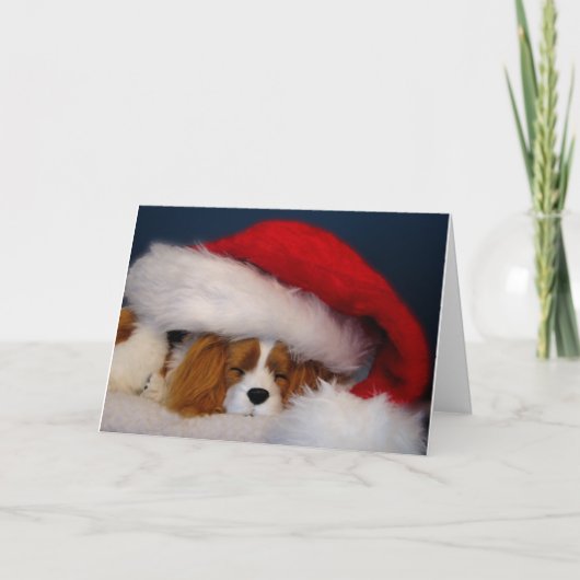 Cavalier King Charles Blenheim Santa Kaart (Voorkant)