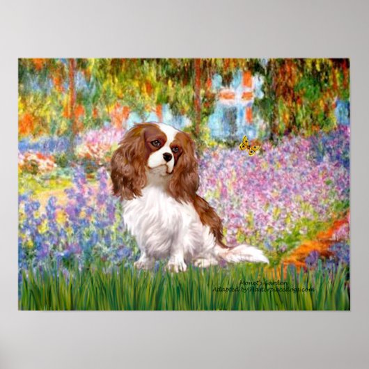 Cavalier King Charles (Blenheim) - Tuin Poster (Voorkant)
