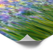 Cavalier King Charles (Blenheim) - Tuin Poster (Hoek)