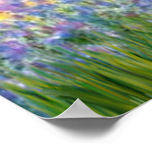 Cavalier King Charles (Blenheim) - Tuin Poster (Hoek)