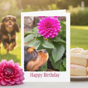 Cavalier King Charles Dahlia Verjaardag Kaart