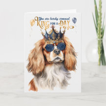 Cavalier King Charles Dog King voor een dag van de