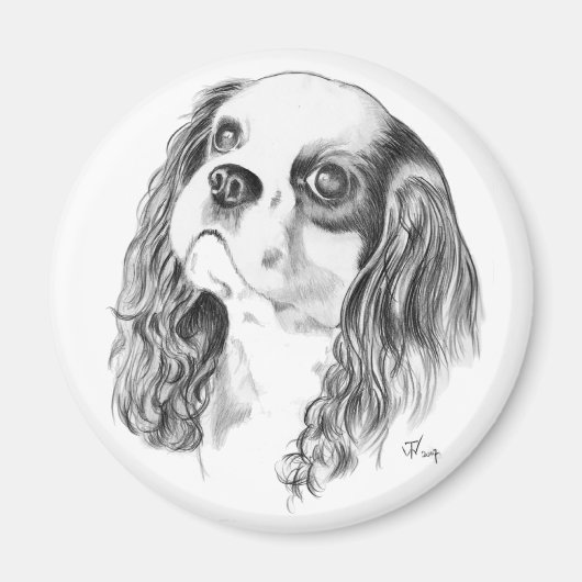 Cavalier King Charles Drawing Magneet (Voorkant)