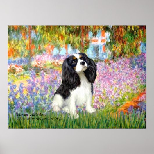Cavalier King Charles (driekleurig) - Tuin Poster (Voorkant)