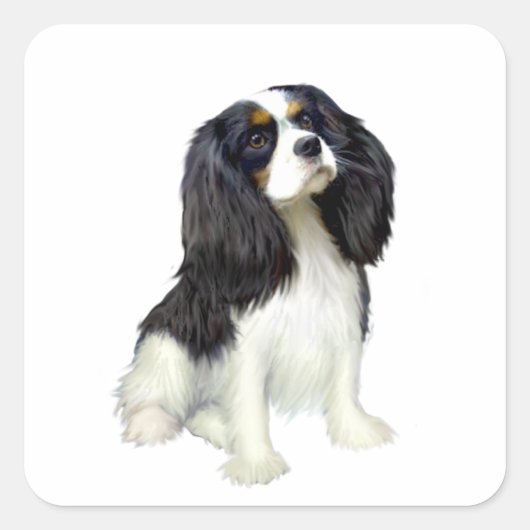 Cavalier King Charles - Driekleurig Vierkante Sticker (Voorkant)