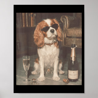 Cavalier King Charles drinkt champagne grappig Poster