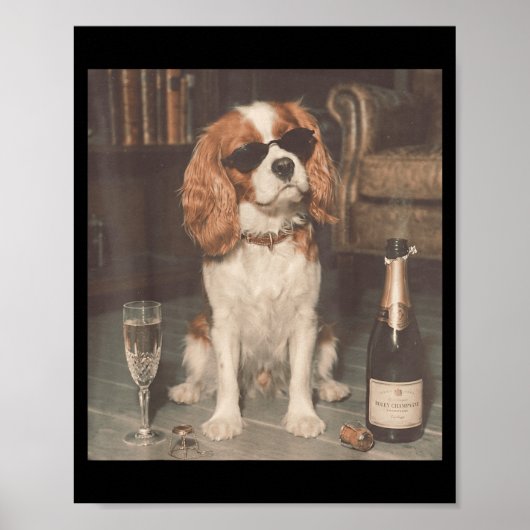 Cavalier King Charles drinkt champagne grappig Poster (Voorkant)