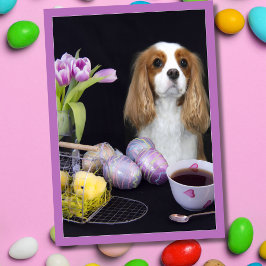 Cavalier King Charles Easter Tulips Eggs Kaart