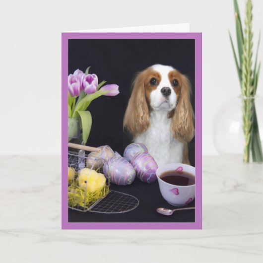 Cavalier King Charles Easter Tulips Eggs Kaart (Voorkant)