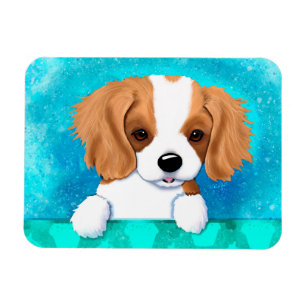 Cavalier King Charles Flexible Magnet Magneet