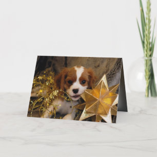 Cavalier King Charles Holiday Star Feestdagen Kaart