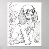 Cavalier King Charles Hond Adult Kleuring Poster (Voorkant)
