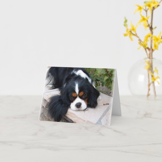 Cavalier King Charles Kaart (Gele Bloem)