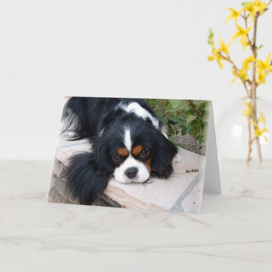 Cavalier King Charles Kaart (Gele Bloem)