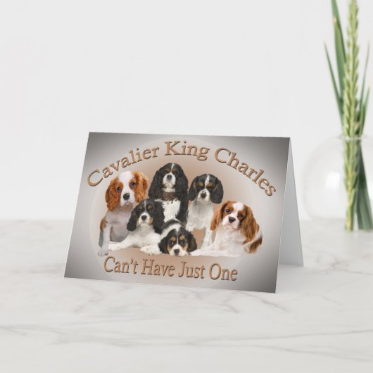 Cavalier King Charles kan niet één cadeau hebben Feestdagen Kaart (Voorkant)