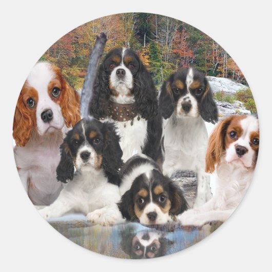 Cavalier King Charles kan niet één cadeau hebben Ronde Sticker (Voorkant)