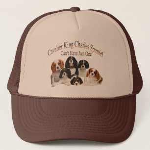 Cavalier King Charles kan niet slechts één Pet h