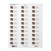 Cavalier King Charles Kerst Retouradres Etiket (Full Sheet)