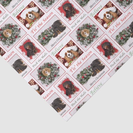 Cavalier King Charles Kerstmis Tissuepapier (Detail)