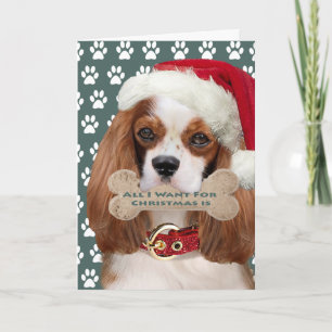 Cavalier King Charles Kisses voor Kerstmis Feestdagen Kaart