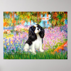 Cavalier King Charles (kleur tri) - Tuin Poster