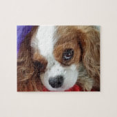 Cavalier King Charles  Legpuzzel (Horizontaal)