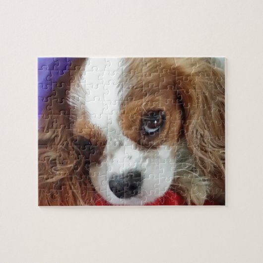 Cavalier King Charles  Legpuzzel (Horizontaal)