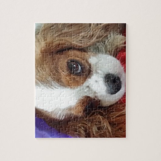 Cavalier King Charles  Legpuzzel (Verticaal)