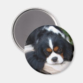Cavalier King Charles Magneet (Voorkant / Achterkant)