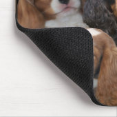 Cavalier King Charles mousepad Muismat (Hoek)