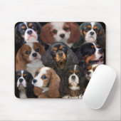 Cavalier King Charles mousepad Muismat (Met muis)