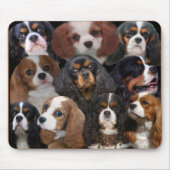 Cavalier King Charles mousepad Muismat (Voorkant)