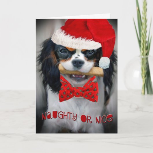 Cavalier King Charles Naughty voor leuke kerstkaar Feestdagen Kaart (Voorkant)