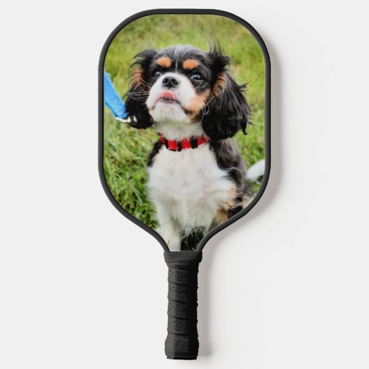 Cavalier King Charles Pickleball Paddle (Achterkant)
