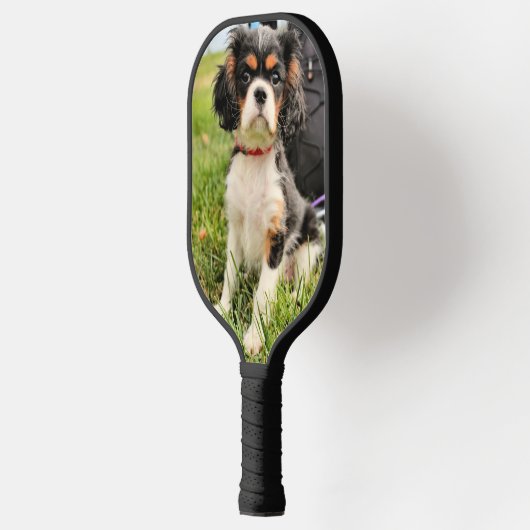 Cavalier King Charles Pickleball Paddle (Links)